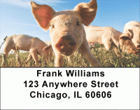 Down on the Farm Address Labels
